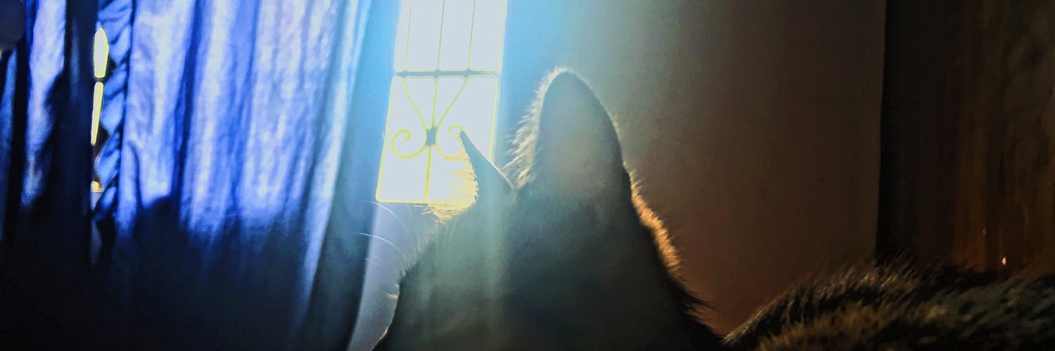 Calico143's profile banner image