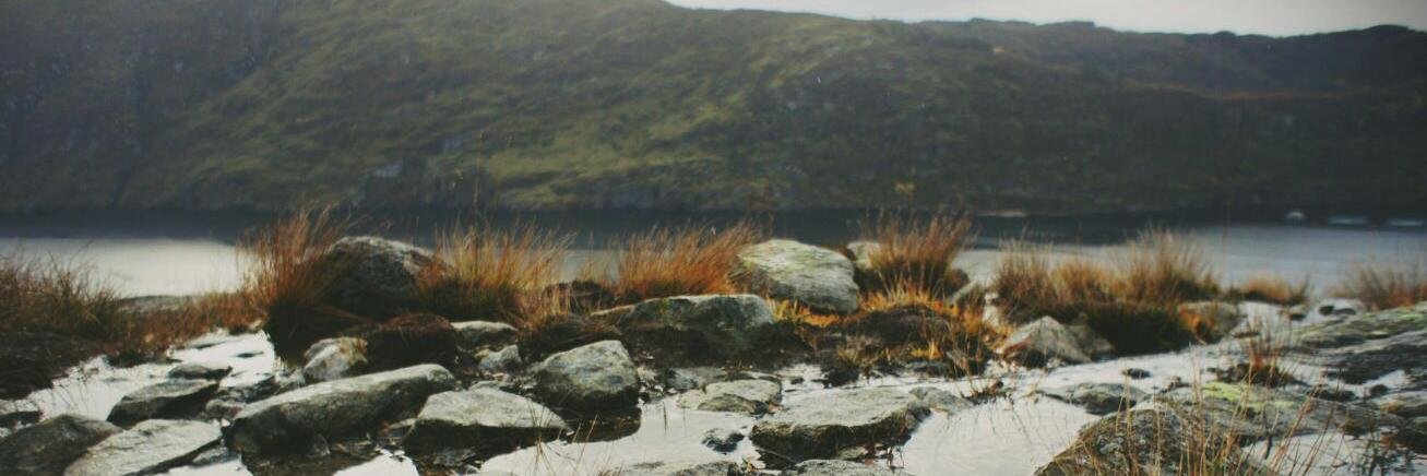 Mr. MacTavish banner