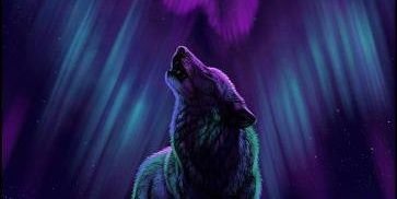 CotCMWolf's profile banner image