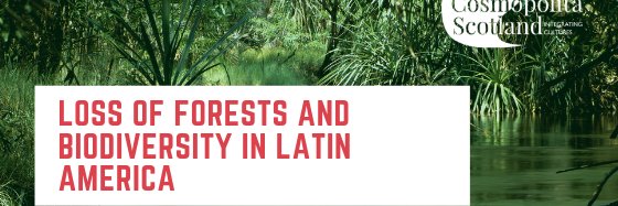 Cosmopolita Scotland banner