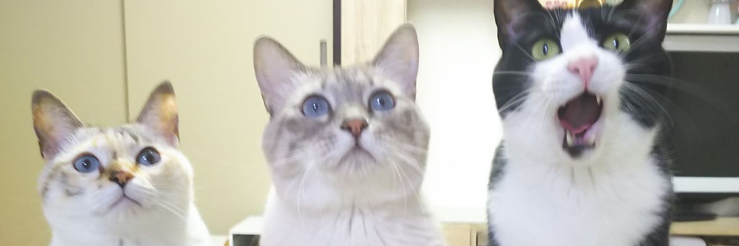 56789neko's profile banner image