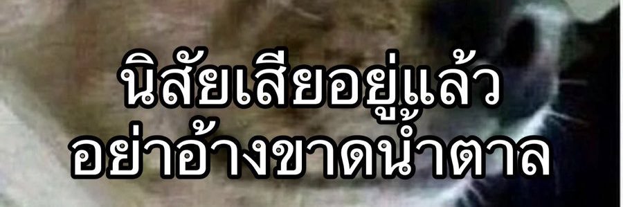 _ntkm12's profile banner image