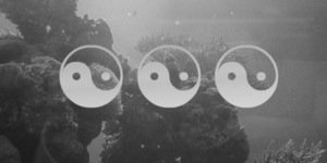 troylershit_'s profile banner image