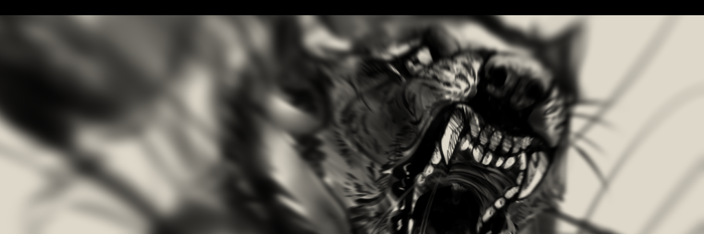 kacee_f's profile banner image