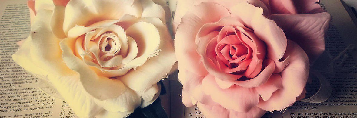 SheaOlsenBooks's profile banner image