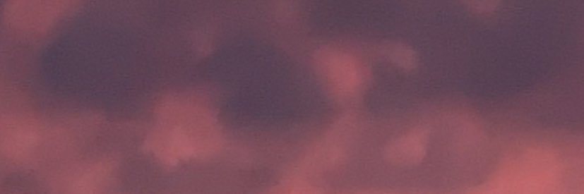 🪱 banner