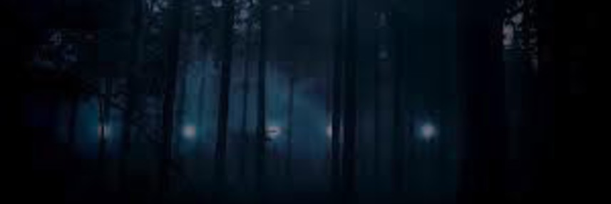 timothy_killer1's profile banner image