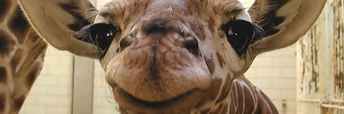 jmsherbs's profile banner image