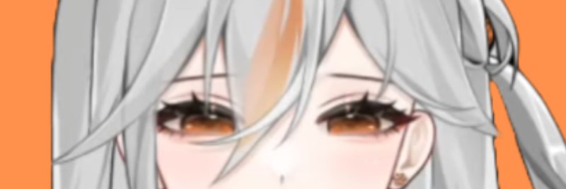 feliswheel's profile banner image