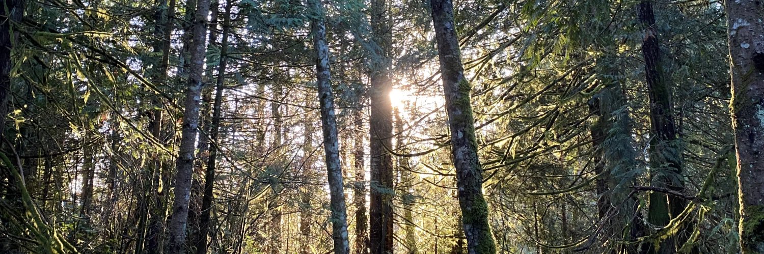 VIPatDoherty's profile banner image