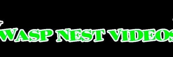 WaspnestV's profile banner image
