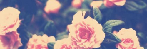 MissDani1487's profile banner image