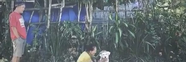 imcherina Profile Banner