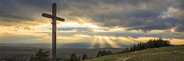 mtorrie7's profile banner image