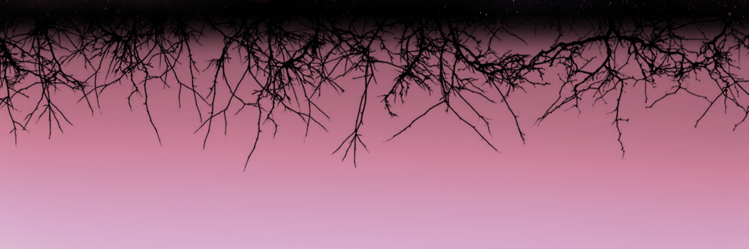 FromOurDarkSide's profile banner image