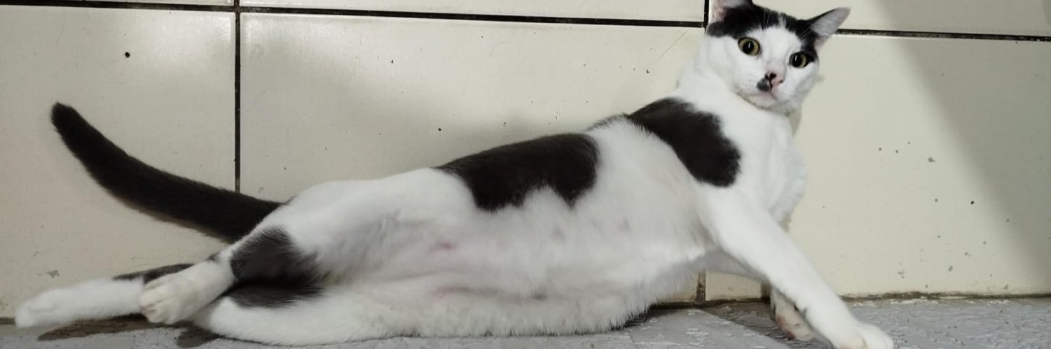 Régis🇪🇪 banner