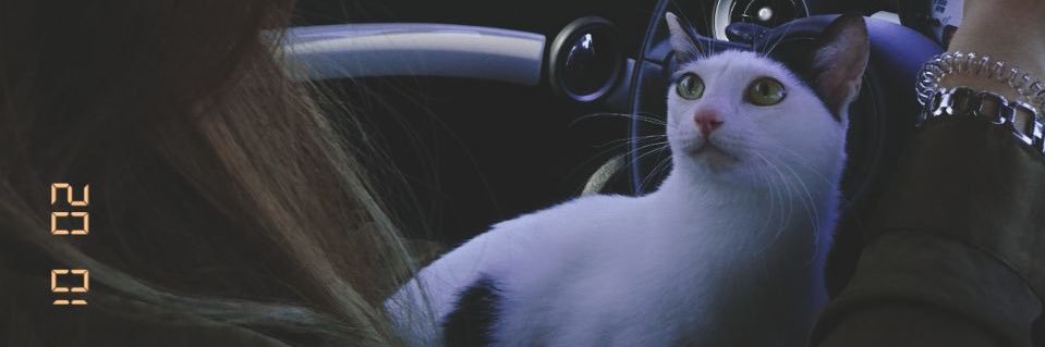Ce_mi_ro's profile banner image