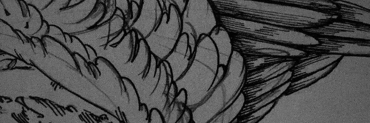 moemaron1129's profile banner image