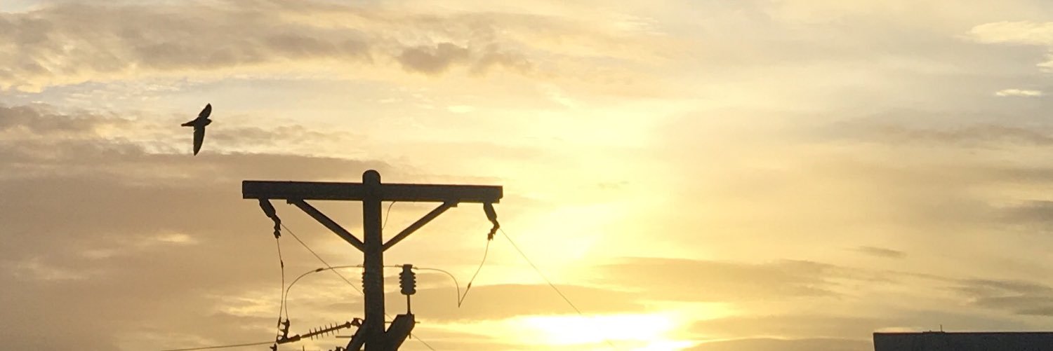 davjohrn's profile banner image