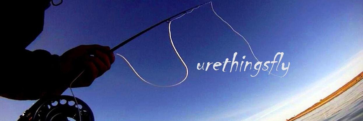 surethingsfly banner