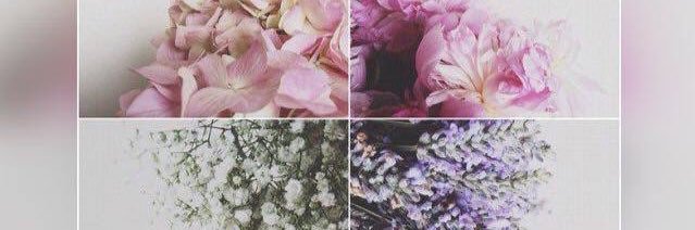 abdull_sn's profile banner image