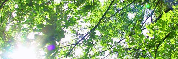 henny926's profile banner image