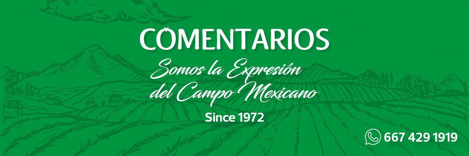 Revista Comentarios banner