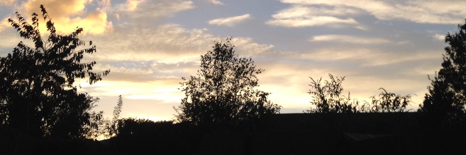 allMeadow's profile banner image