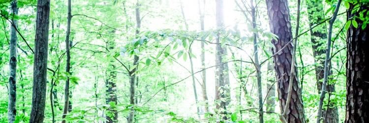 HouseTheFlower's profile banner image