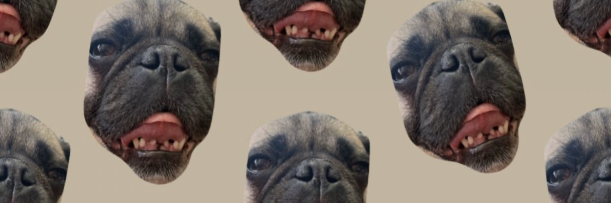hollyavi's profile banner image
