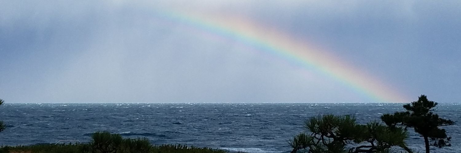 labradoodle33's profile banner image