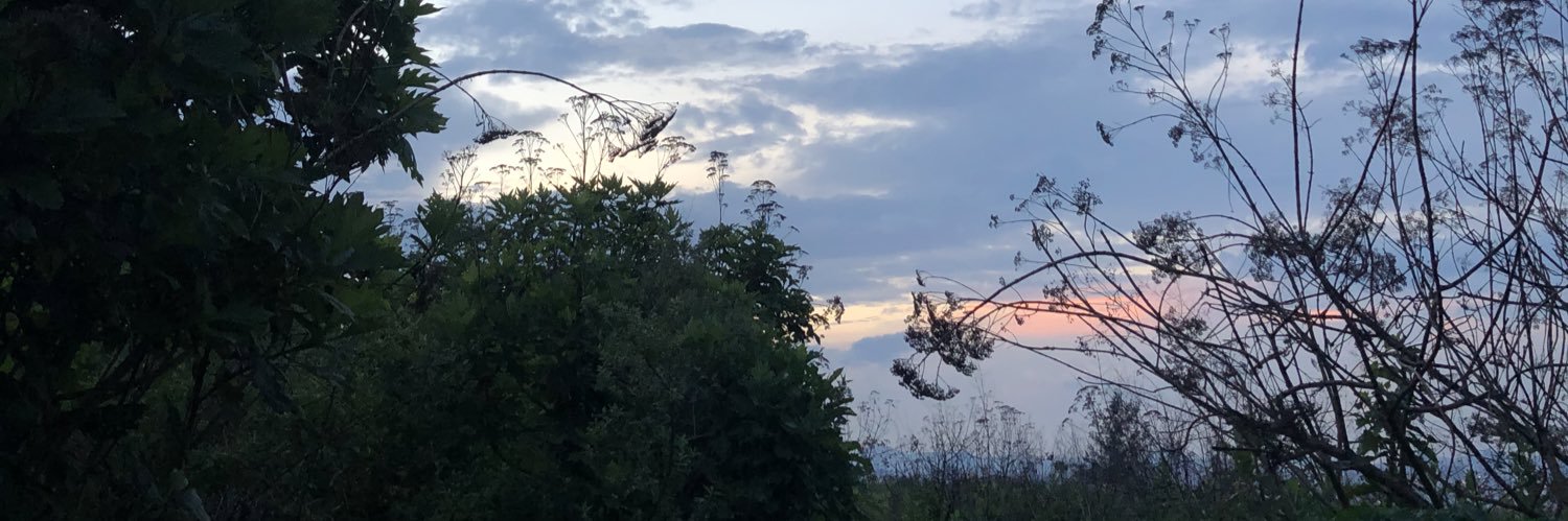 jorkauno1's profile banner image