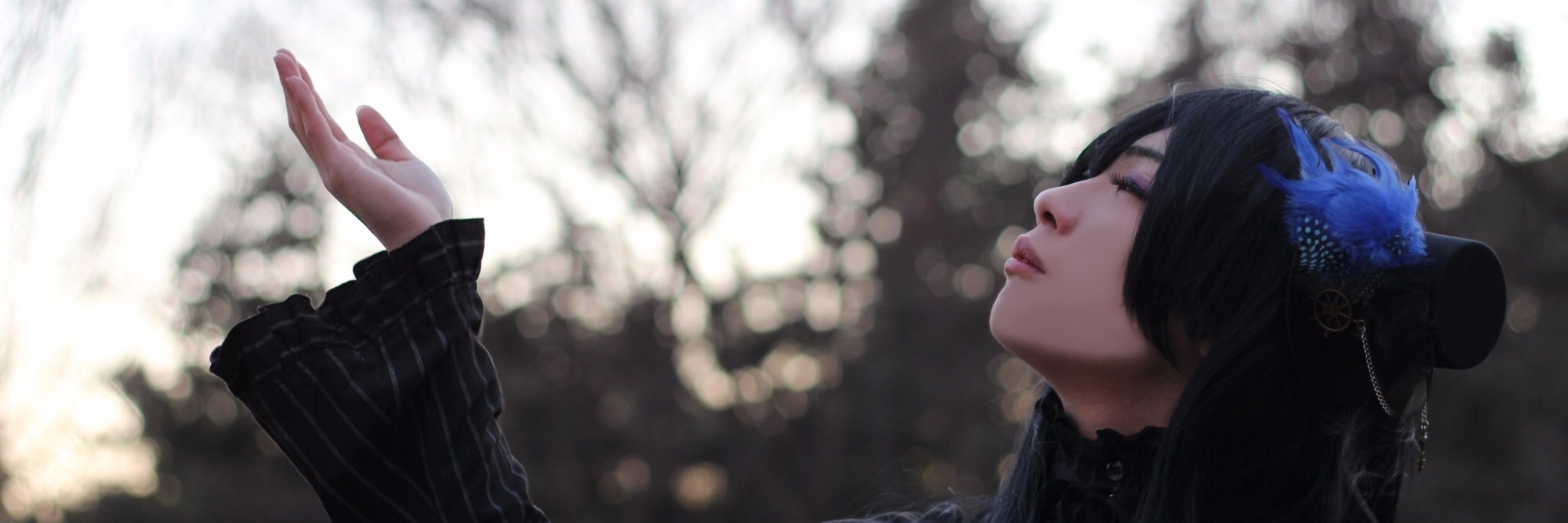 header image
