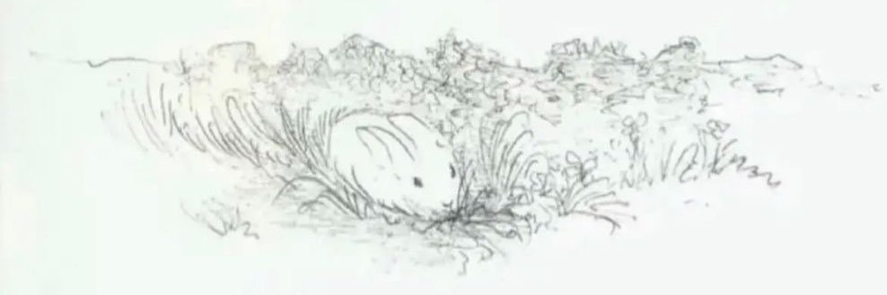 warpedkay's profile banner image