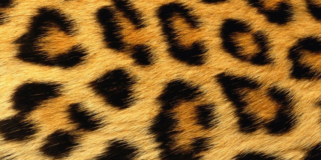 Hellcat banner