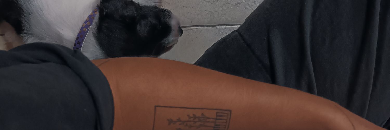 canderamallo10's profile banner image
