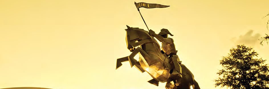 tamara_camera's profile banner image