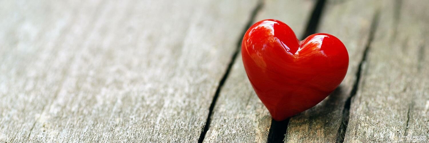 andrew johnson banner