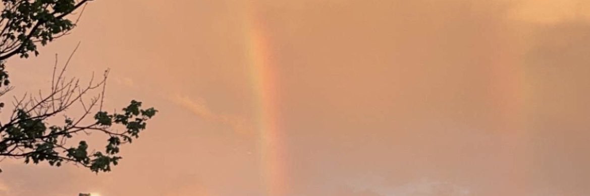 sadajaneee's profile banner image