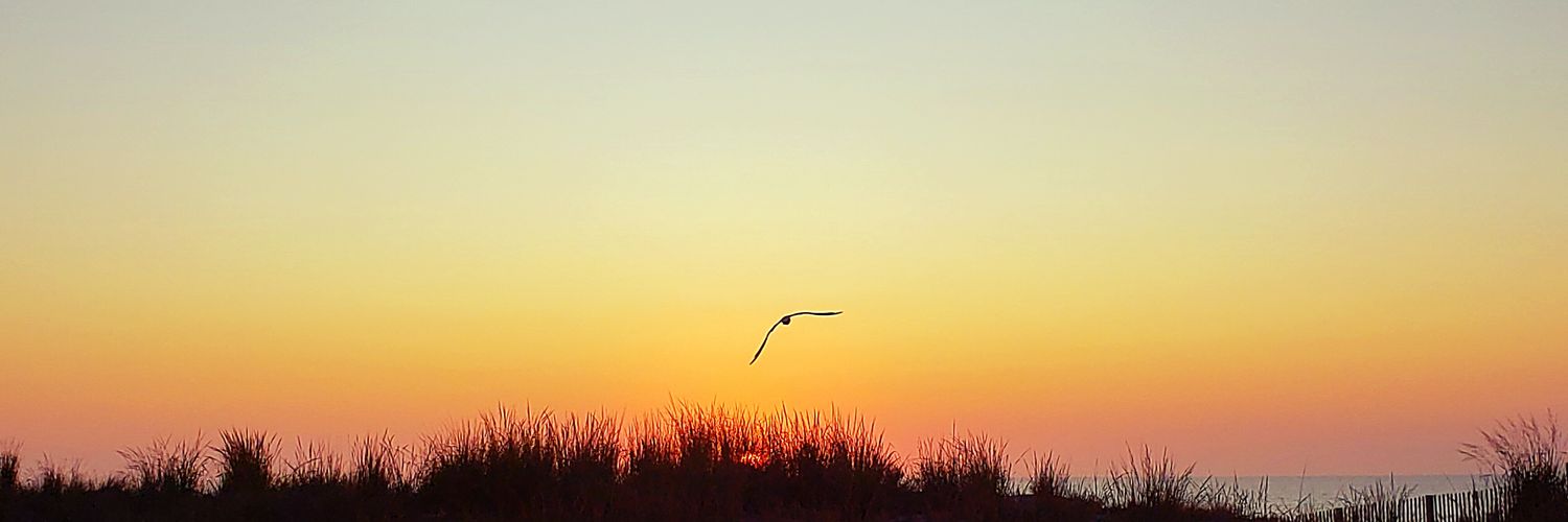murri205's profile banner image