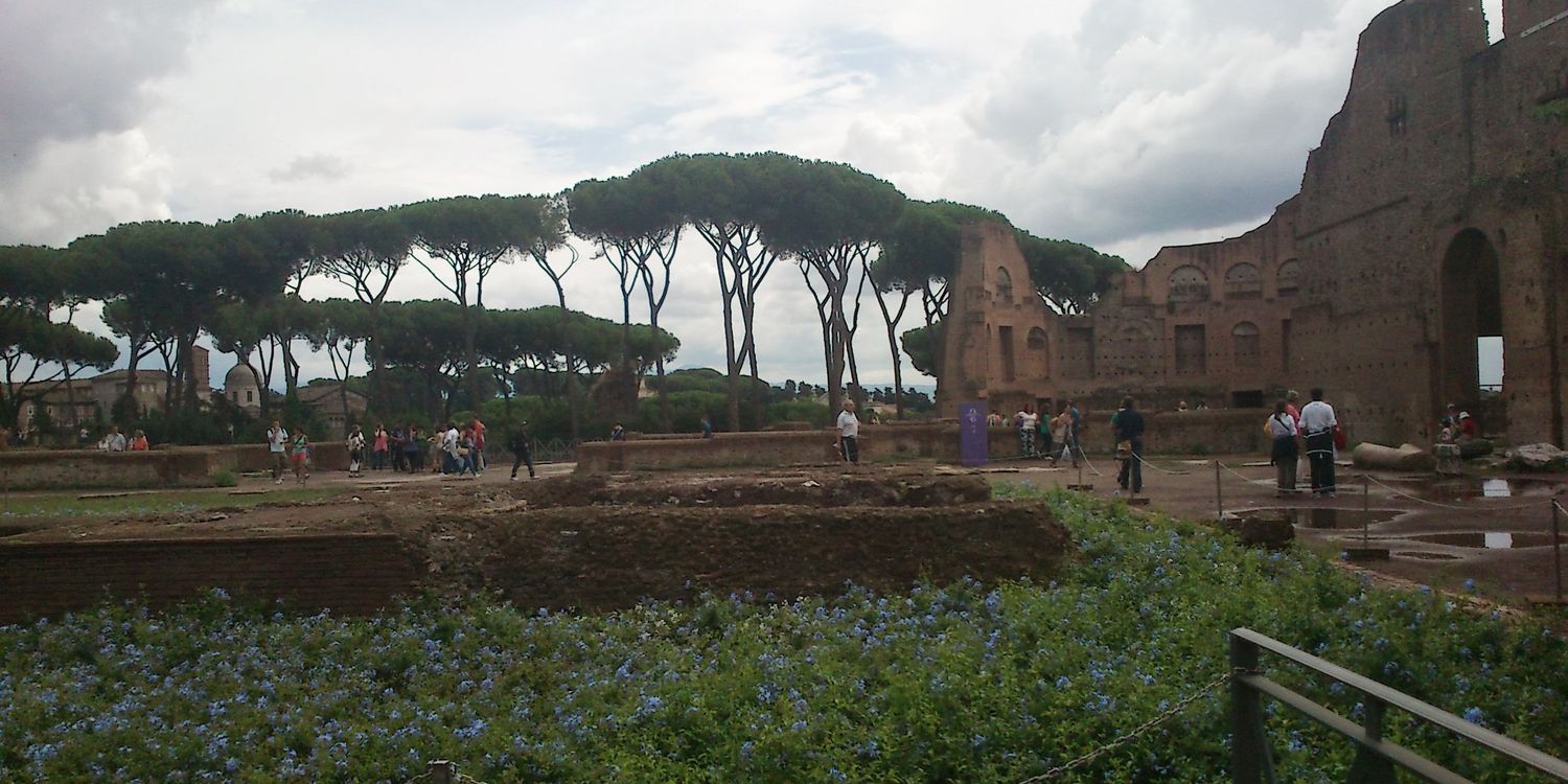 laurafbec's profile banner image