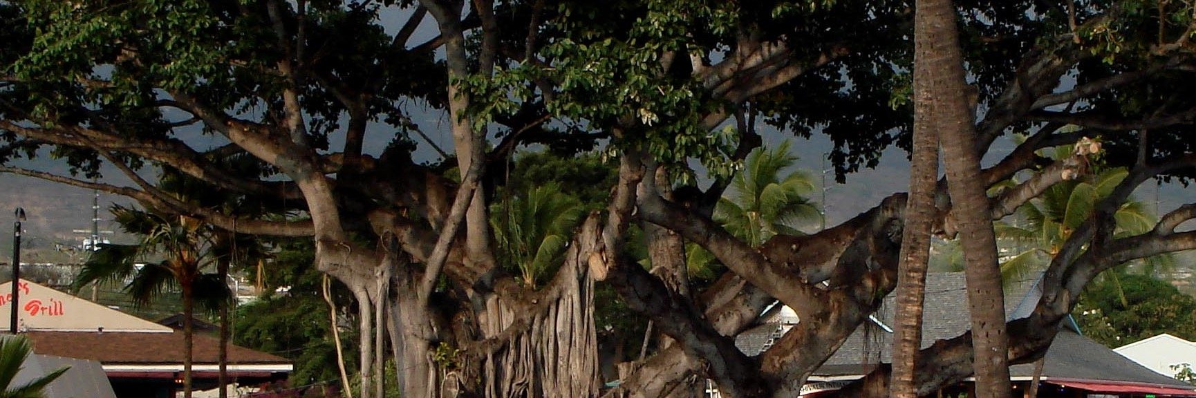 CromeBumpr's profile banner image