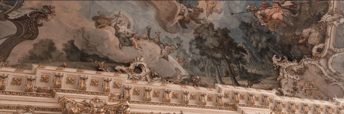 dnub01's profile banner image