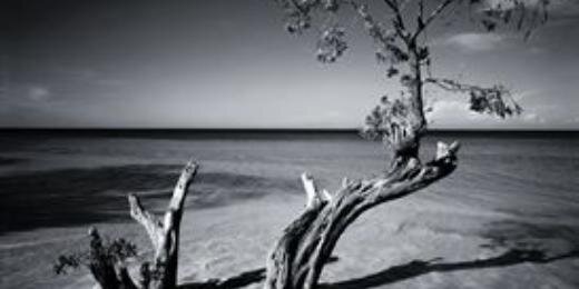 RenlyYohanis's profile banner image