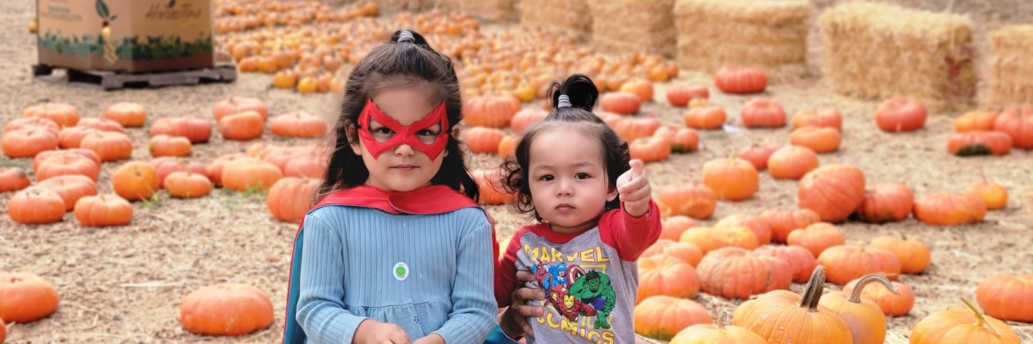 Errol Ozdalga banner