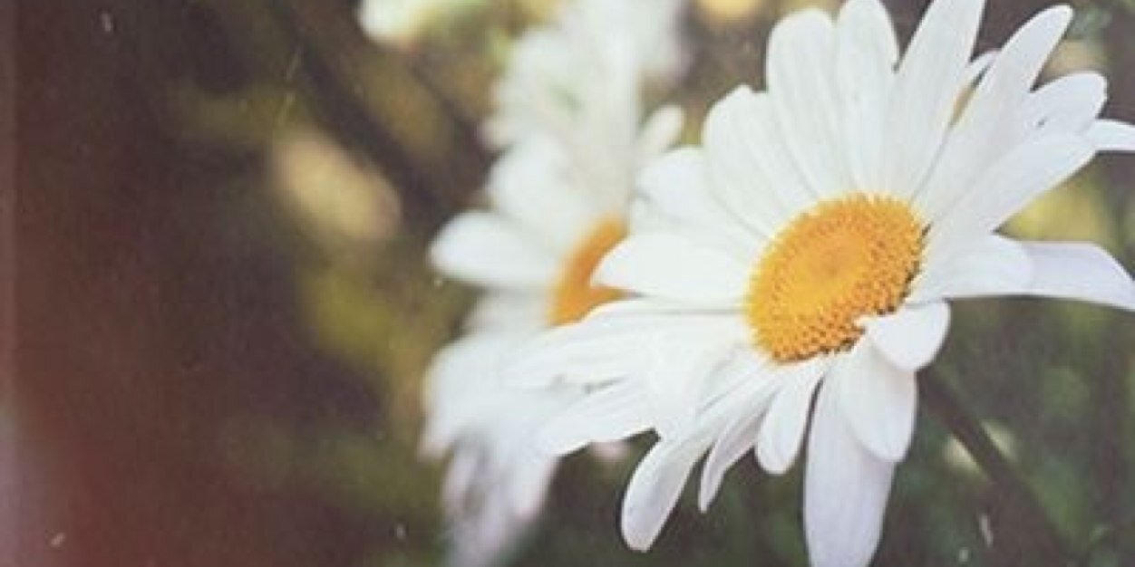 EC_Monkey1's profile banner image
