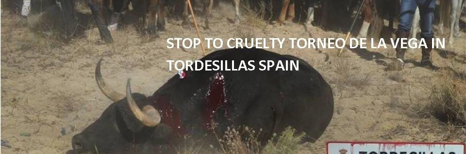 NOTORDESILLAS15's profile banner image