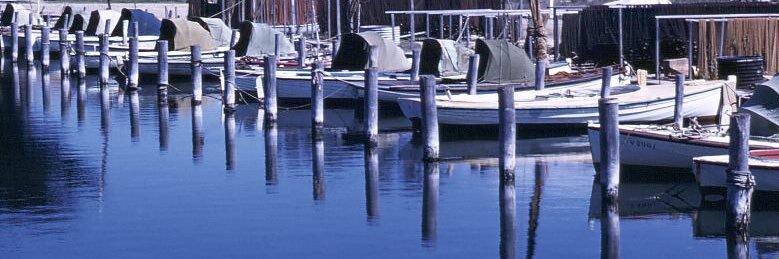 Bobbie ✳️☮️🇦🇺 banner