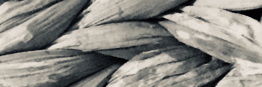 NematiMH's profile banner image