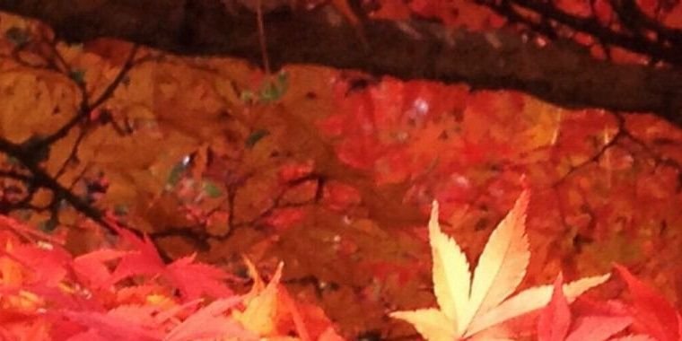 _____I423's profile banner image